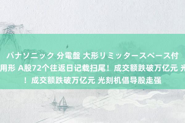 パナソニック 分電盤 大形リミッタースペース付 露出・半埋込両用形 A股72个往返日记载扫尾！成交额跌破万亿元 光刻机倡导股走强