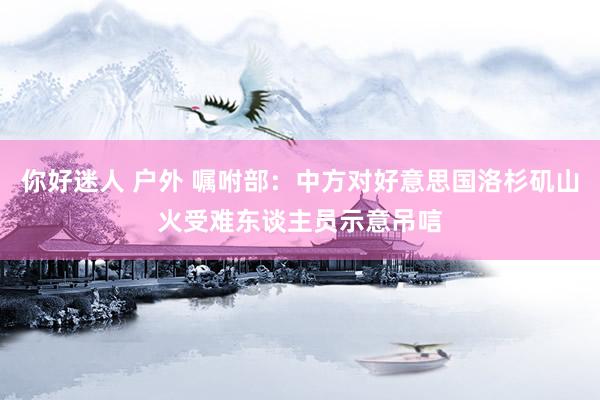 你好迷人 户外 嘱咐部：中方对好意思国洛杉矶山火受难东谈主员示意吊唁