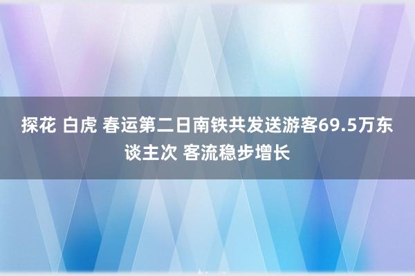 探花 白虎 春运第二日南铁共发送游客69.5万东谈主次 客流稳步增长